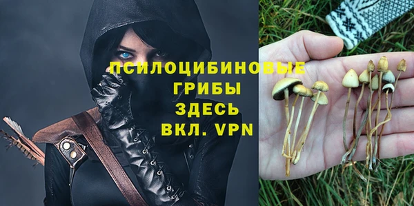 PSILOCYBIN Алексеевка